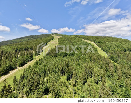 Grassy ski slopes cutting through dense evergreen forest on sunlit mountain Grassy ski slopes cutting through dense evergreen forest on sunlit mountain 140450257