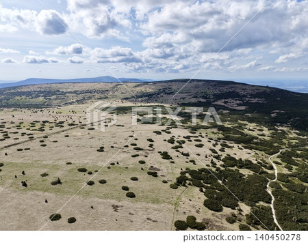 Highland moorland with scattered shrubs and winding footpath under cloudy sky Highland moorland with scattered shrubs and winding footpath under cloudy sky 140450278