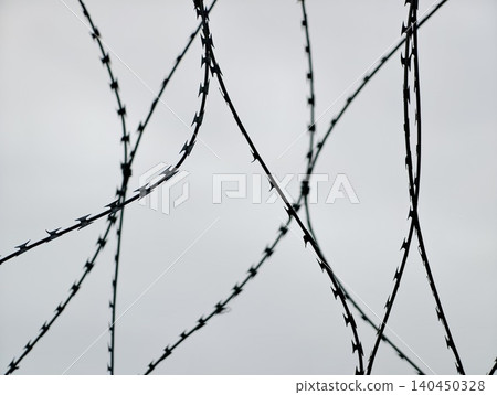Curved strands of barbed wire silhouetted against a pale sky 140450328