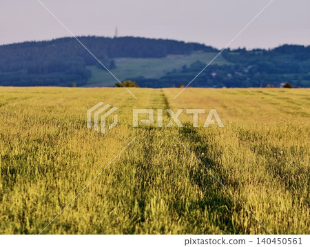 Rural grass field with a narrow track leading toward distant hills Rural grass field with a narrow track leading toward distant hills 140450561