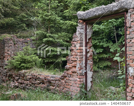 Crumbling brick wall and doorway overgrown by forest vegetation 140450637