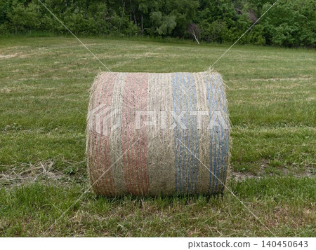 Round hay bale wrapped in faded colored netting on a grassy field 140450643