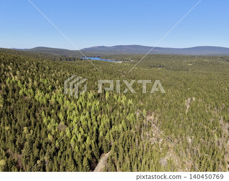 Expansive Pine Woods Reflecting Tranquility. Vast Forest Canopy With Lake And Hills Beneath Bright Sky Expansive Pine Woods Reflecting Tranquility. Vast Forest Canopy With Lake And Hills Beneath Bright Sky 140450769