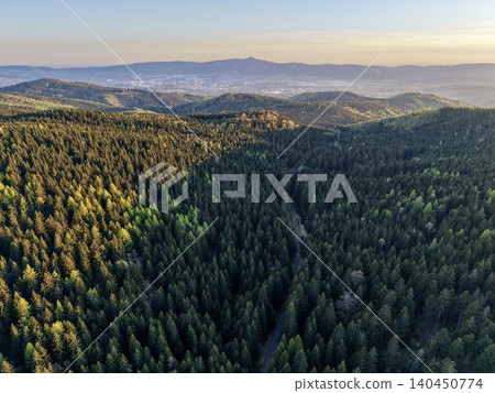Sunset Pine Glow. Warm Dawn Light Bathes Pine Covered Hills While City Skyline Glows Softly In Background 140450774