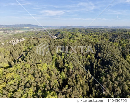 Forest Overhead With Sunlight Filtering. Aerial Perspective Of Lush Forest With Green Seasonal Hues Forest Overhead With Sunlight Filtering. Aerial Perspective Of Lush Forest With Green Seasonal Hues 140450793