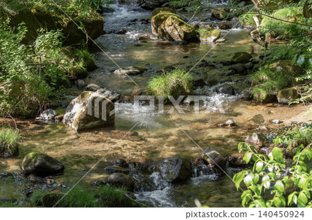 A beautiful mountain stream scene bathed in the early summer sunlight (Yamanashi City, Yamanashi Prefecture) 140450924