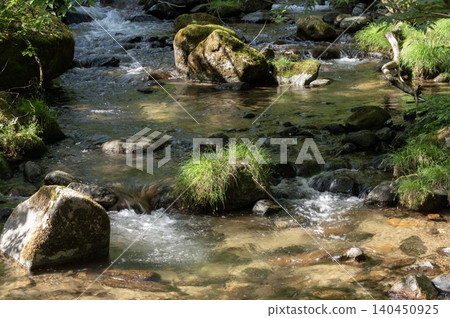 A beautiful mountain stream scene bathed in the early summer sunlight (Yamanashi City, Yamanashi Prefecture) 140450925