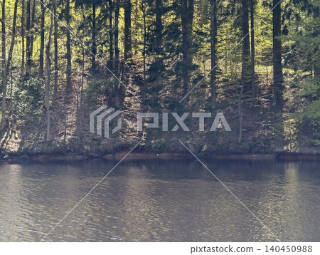 Tranquil Pine Trees Mirrored On Calm Surface. Silent Lakeside Scene With Reflected Trees And Gentle Ripples Tranquil Pine Trees Mirrored On Calm Surface. Silent Lakeside Scene With Reflected Trees And Gentle Ripples 140450988