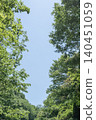 The blue sky of early summer and the vibrant green of the trees. 140451059