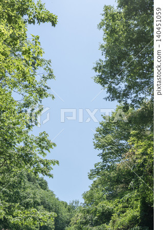 The blue sky of early summer and the vibrant green of the trees. The blue sky of early summer and the vibrant green of the trees. 140451059