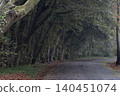 The forest and tree-lined path of Akigase Park wet after an early winter rain 140451074