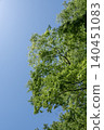 The blue sky of early summer and the vibrant green of the trees. 140451083