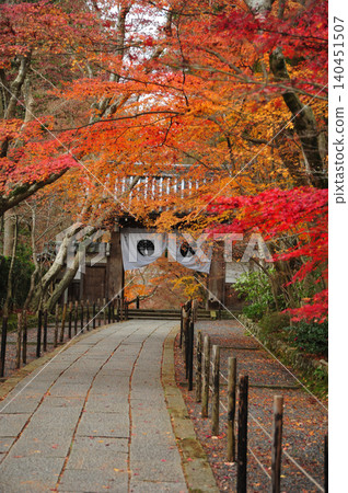 Maple-lined path surrounded by autumn leaves Maple-lined path surrounded by autumn leaves 140451507