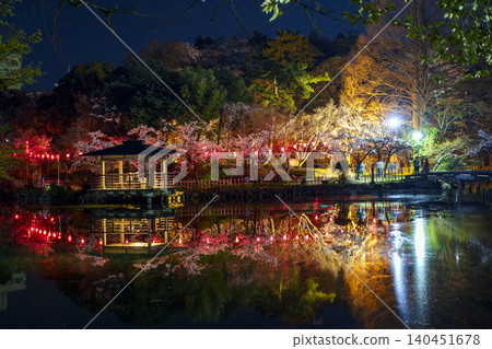 Cherry blossoms at night at Takaoka Kojō Park, a famous cherry blossom viewing spot in Toyama Prefecture. Cherry blossoms at night at Takaoka Kojō Park, a famous cherry blossom viewing spot in Toyama Prefecture. 140451678