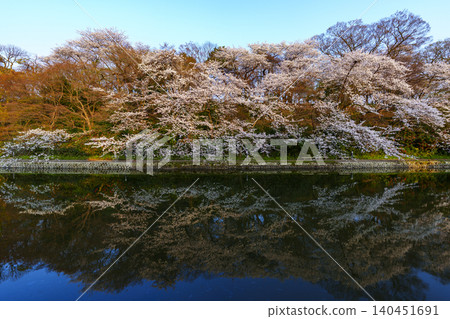 高岡古城公園是富山縣著名的賞櫻勝地,這裡盛開著美麗的櫻花。 高岡古城公園是富山縣著名的賞櫻勝地,這裡盛開著美麗的櫻花。 140451691