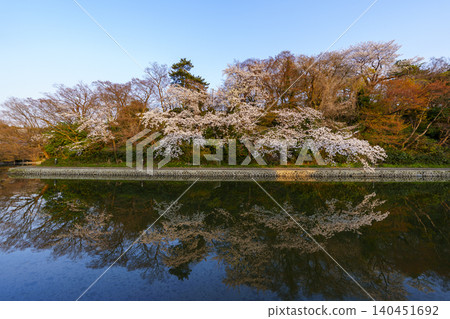 高岡古城公園是富山縣著名的賞櫻勝地,這裡盛開著美麗的櫻花。 高岡古城公園是富山縣著名的賞櫻勝地,這裡盛開著美麗的櫻花。 140451692