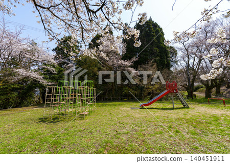 櫻花盛開的公園,喚起人們的懷舊之情。 櫻花盛開的公園,喚起人們的懷舊之情。 140451911