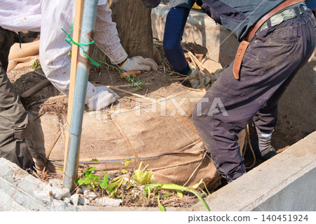 Tree stump removal work by a landscaping company Tree stump removal work by a landscaping company 140451924
