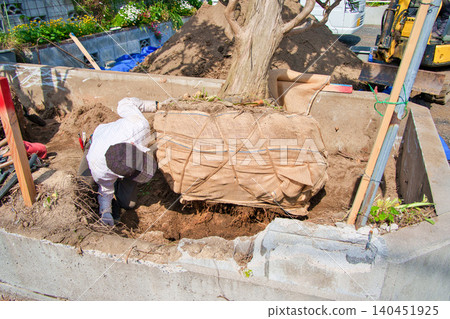 Tree stump removal work by a landscaping company Tree stump removal work by a landscaping company 140451925