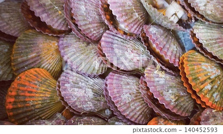 Colorful shellfish Colorful shellfish 140452593