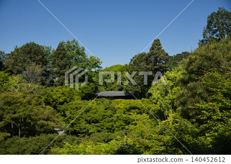 東福寺:從通天橋眺望翠綠的楓葉(3) 東福寺:從通天橋眺望翠綠的楓葉(3) 140452612