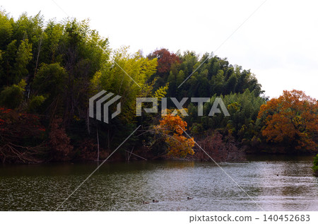 水龜之鄉的秋葉美景 140452683