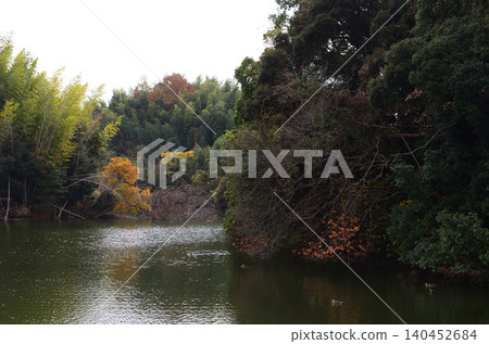 水龜之鄉的秋葉美景 140452684