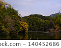 水龜之鄉的秋葉美景 140452686