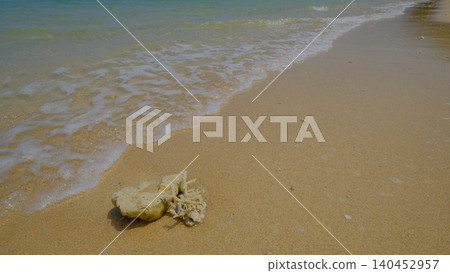 海灘上散落著枝狀珊瑚碎片，泛著白浪。 140452957