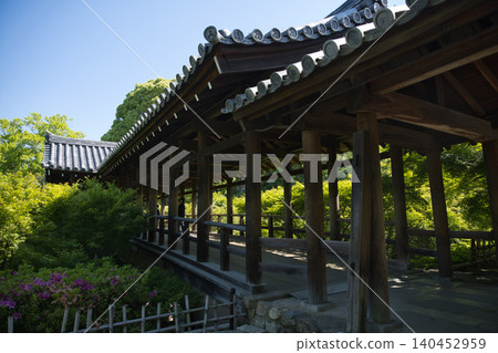 東福寺:從仙京館眺望綠色的楓葉和通天橋 10 東福寺:從仙京館眺望綠色的楓葉和通天橋 10 140452959