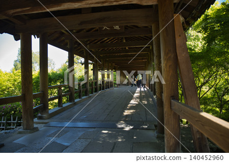 Tofuku-ji Temple: Tsutenkyo Bridge surrounded by fresh greenery (1) Tofuku-ji Temple: Tsutenkyo Bridge surrounded by fresh greenery (1) 140452960