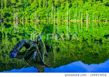 A bright early summer morning: A reflection on the surface of a natural lake captures the vibrant life of a tree stump and green branches. A bright early summer morning: A reflection on the surface of a natural lake captures the vibrant life of a tree stump and green branches. 140453058
