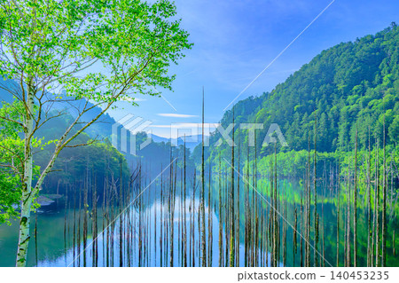 初夏的清晨陽光明媚:禦嶽山腳下的湖泊中矗立著枯樹,碧綠的樹葉映照在湛藍的天空下。 初夏的清晨陽光明媚:禦嶽山腳下的湖泊中矗立著枯樹,碧綠的樹葉映照在湛藍的天空下。 140453235