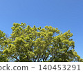 A background image featuring a vibrant green canopy of trees against a vast blue sky. 140453291