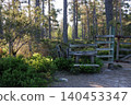 Fence and wooden stile on forest footpath in Scotland 140453347