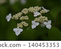 繡球花 140453353