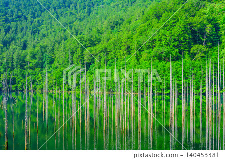 A bright early summer morning; a natural lake beautifully reflects the lush green forest and withered trees, creating an uninhabited landscape. A bright early summer morning; a natural lake beautifully reflects the lush green forest and withered trees, creating an uninhabited landscape. 140453381