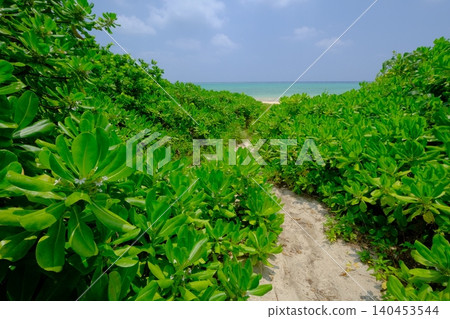 沖繩海灘之路 沖繩海灘之路 140453544
