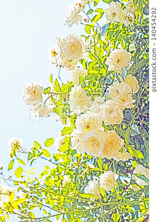 Flowers around the house, various in all seasons. Beautiful, pure flowers add color to the rose garden flowerbed in early summer. Flowers around the house, various in all seasons. Beautiful, pure flowers add color to the rose garden flowerbed in early summer. 140454292