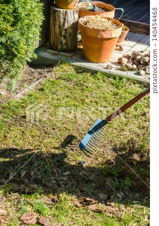 Close-up of a blue garden rake cleaning debris and moss from a lawn. High-quality image for landscaping, yard work, and spring garden care topics. High quality photo Close-up of a blue garden rake cleaning debris and moss from a lawn. High-quality image for landscaping, yard work, and spring garden care topics. High quality photo 140454468