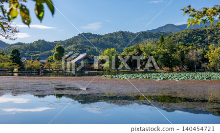 Autumn scenery at Osawa Pond and Daikaku-ji Temple: A Japanese garden in Arashiyama, Kyoto Autumn scenery at Osawa Pond and Daikaku-ji Temple: A Japanese garden in Arashiyama, Kyoto 140454721