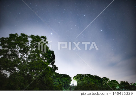 星星點點的夜空籠罩著綠樹，宛如仙境。 140455329