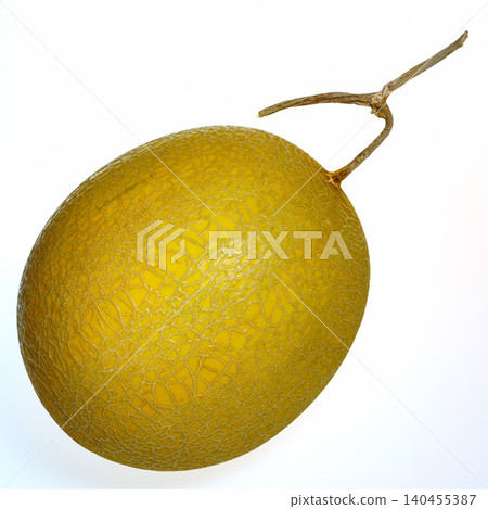 a big round beautiful golden color cantaloup isolated on a white background a big round beautiful golden color cantaloup isolated on a white background 140455387
