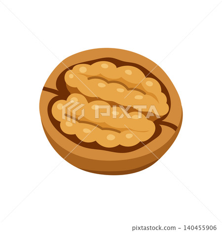 Half walnut kernel isolated on white background Half walnut kernel isolated on white background 140455906
