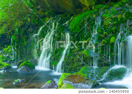 "Mototaki Fushiryusui" (Akita Prefecture), a spring gushing from a moss-covered rock face. "Mototaki Fushiryusui" (Akita Prefecture), a spring gushing from a moss-covered rock face. 140455950