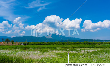 從長濱市看到的夏季伊吹山 140455960