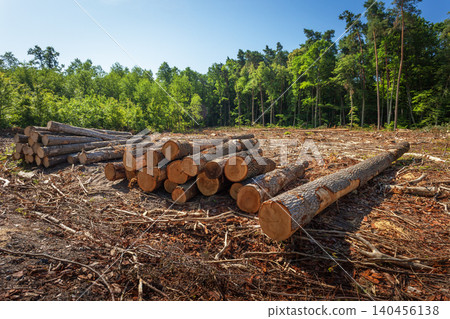 Cutting down trees in the forest Cutting down trees in the forest 140456138