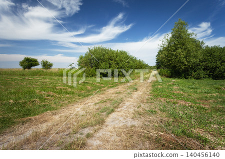 A dirt road through meadows with shrubs on a sunny summer day A dirt road through meadows with shrubs on a sunny summer day 140456140
