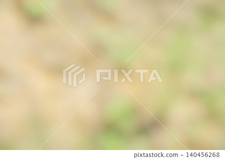 自然的抽象背景，清新的綠植和透過樹木灑下的柔和陽光交相輝映。 140456268