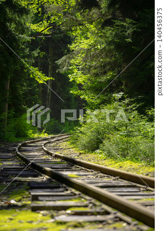 Winding railway tracks lead into dense green woodland with bright sunlight filtering through trees, surrounding foliage, and a quiet natural landscape Winding railway tracks lead into dense green woodland with bright sunlight filtering through trees, surrounding foliage, and a quiet natural landscape 140456375